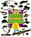 The Amazing Book of Reptile and Amphibian Records: The Largest, the Fastest, the Most Poisonous, and Many More! (Animal Records)