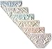 Hanes Women's 5 Pack Lace Effects Bikini