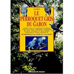 Le perroquet gris du Gabon
