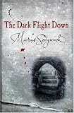 The Dark Flight Down (Book of Dead Days)