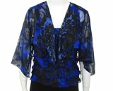 Alex Evening 2 Piece Blouse