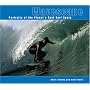 Wavescape: Portraits of the Planet's Best Surf Spots