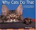 Book Why Cats Do That 2006 16-Month Wall Calendar