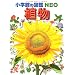 ���w�ق̐}��NEO�V���[�Y