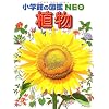 �A�� (���w�ق̐}��NEO)