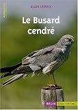Le Busard cendr�