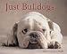 Book Just Bulldogs