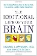 The Emotional Life of Your Brain: How Its Unique Patterns Affect the Way You Think, Feel, and Live--and How You Can Change Them