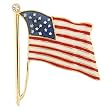 Brass Enamel Flag Pin with Clear CZ 54x46mm