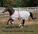 Saratoga Summer Turnout Fly Sheet