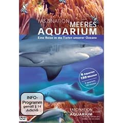 Faszination Meeres Aquarium