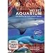 Faszination Meeres Aquarium
