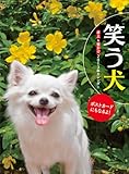 笑う犬[2013年 カレンダー]卓上・壁掛両用 ([カレンダー])