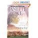 Love's Abiding Joy (Love Comes Softly Series #4)