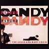 Bild des Albums von Jesus & Mary Chain