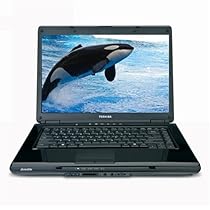 Toshiba Satellite L305-S5877 15.4-inch Laptop (2.0 GHz Intel Core 2 Duo T5750 Processor, 3 GB RAM, 200 GB Hard Drive, DVD Drive, Vista Premium) Onyx Blue