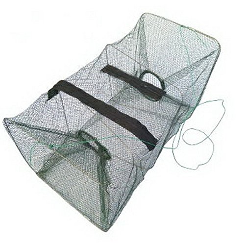 Top 5 Best bait fish trap for sale 2016 BOOMSbeat