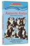 Antarctic Antics... and More Hilarious Animal Stories (Scholastic Storybook Treasures)