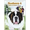 Beethoven 4