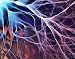 Photographic Prints of Electron flow from Science Photo Library