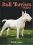 Bull Terriers Today