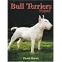 Bull Terriers Today