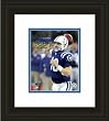 Indianapolis Colts Framed Peyton Manning Photo By Photo File NFL Football