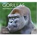Gorillas (World Life Library.)