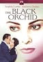 The Black Orchid