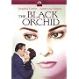 The Black Orchid