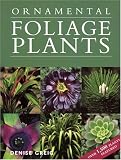Ornamental Foliage Plants