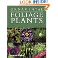 Ornamental Foliage Plants by Denise Greig