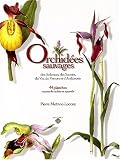 Orchid�es sauvages des Ardennes, des Savoies, du Var, du Vercors et d'Andalousie : 44 Planches, crayons de couleur et aquarelles