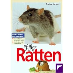 Pfiffige Ratten