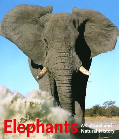 Elephants (English)