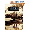 Niagara Falls: Volume II (NY) (Images of America) (Images of America (Arcadia Publishing))