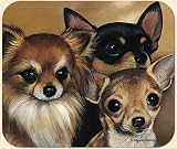 Fiddlers Elbow- CHIHUAHUA MOUSE PAD