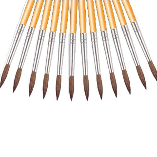 Water Color Paint Brushes