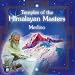 Temples Of The Himalayan Masters