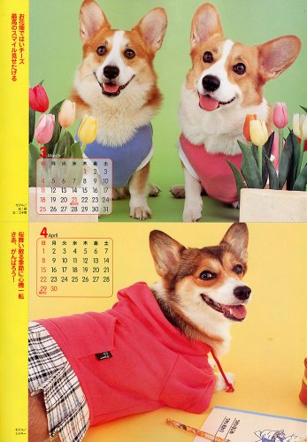 Cover image : コーギースタイル Vol.16 (タツミムック)