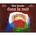 Des bruits dans la nuit
