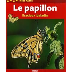 Le papillon : Gracieux baladin
