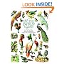 Old-Time Bird Vignettes in Full Color