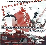 BIGG STEELE CHRONICLES Vol.1