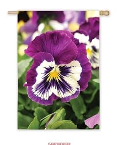 Pansies Garden Flag
