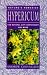 Hypericum (Nature's Remedies) by Andrew Chevallier ISBN 0285634879