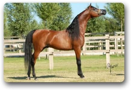 Arabian Horse Custom Outdoor Indoor Doormat Personalized Design Machine-Wahable Neoprene Rubber Doormat 23.6x15.7 Inch