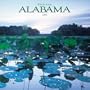 Wild & Scenic Alabama: 2003