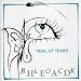 Anklicken zum Vergrößeren: Blockhead - Trail of Tears (Audio CD)