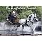 Horse Magazines